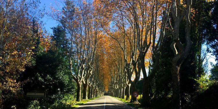 Fall photos of #Provence @BfBlogger2015