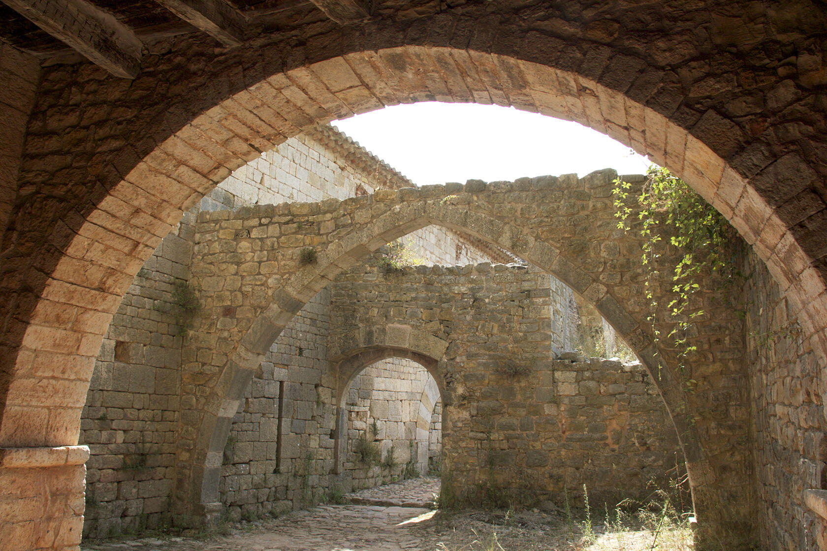 Thoronet Abbey Cistercian Provence