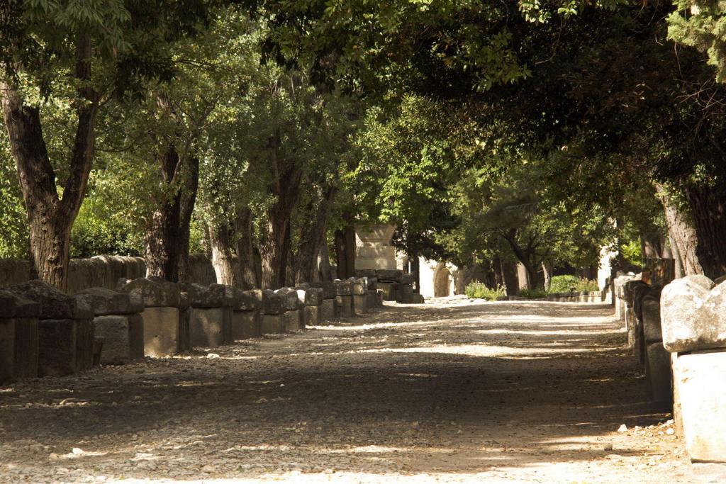 Alyscamps necropolis Sarcophages Provence Arles