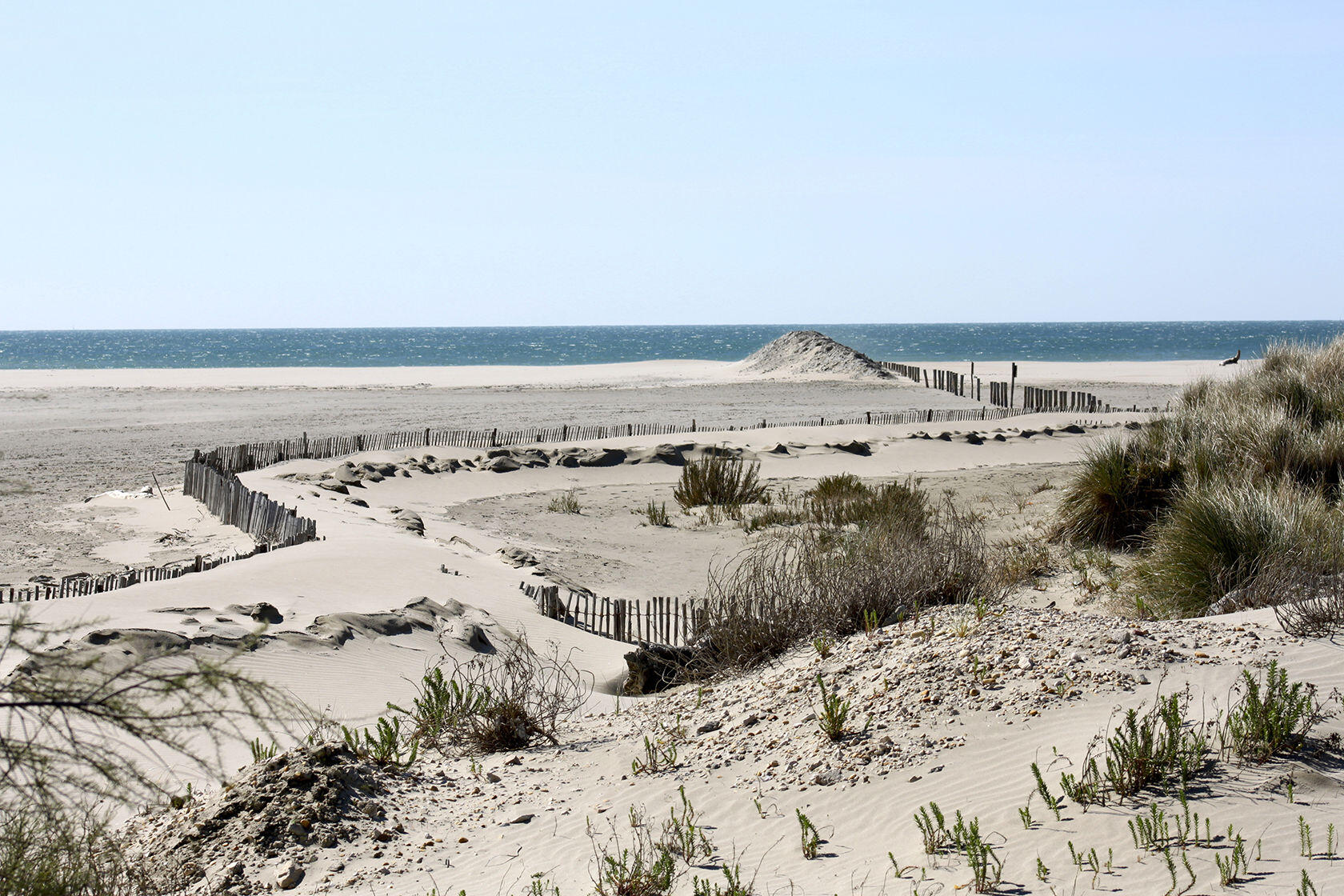 Camargue Views Mediterranean Provence