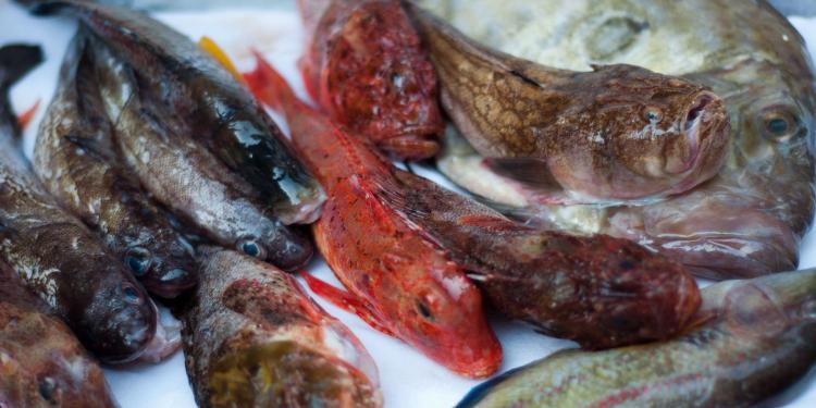 Classic Bouillabaisse Provence Recipe @ProvenceCook
