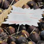 Provence Fresh Figs Recipes