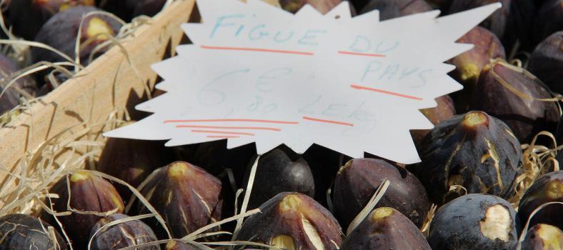 Provence Fresh Figs Recipes