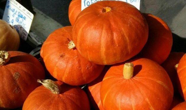 Pumpkin Tian Recipe Courge Provence @PestoPistou