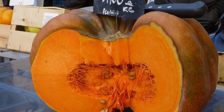 Courge Pumpkin Squash #Provence #markets @PerfProvence