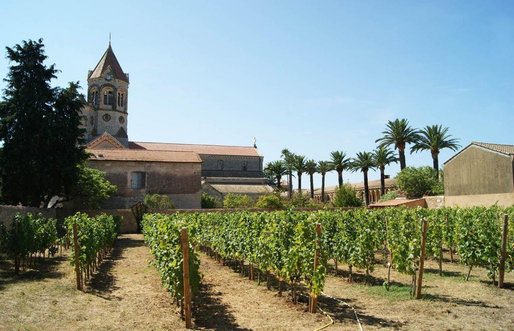 Abbaye de Lerins #CotedAzur L'ile Saint Honorat