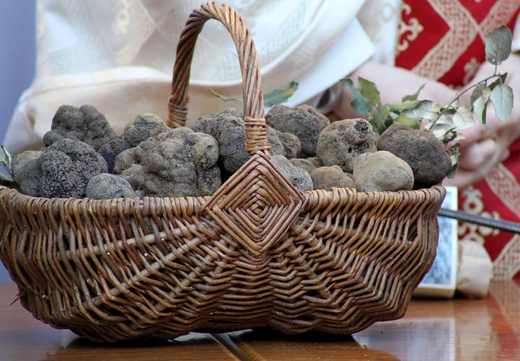 Truffles in Provence #Truffles #MesseDesTruffes @PerfProvence