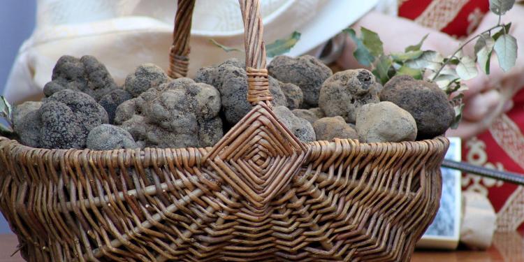 Truffles Provence Truffle Markets