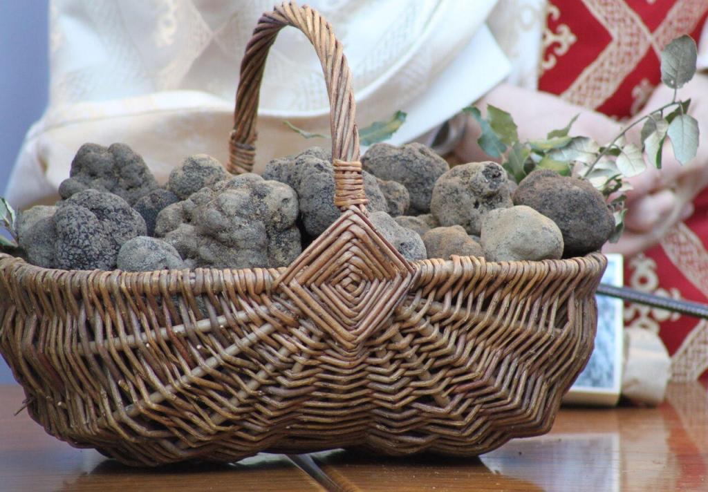 Black Truffles #Provence #Truffles