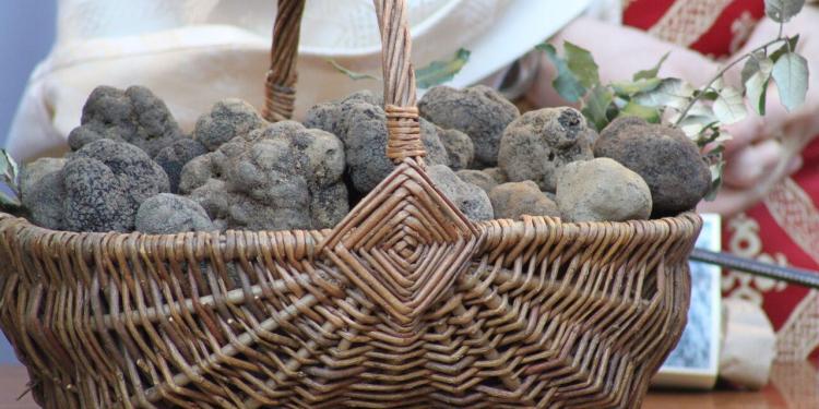 Black Truffles #Provence #Truffles