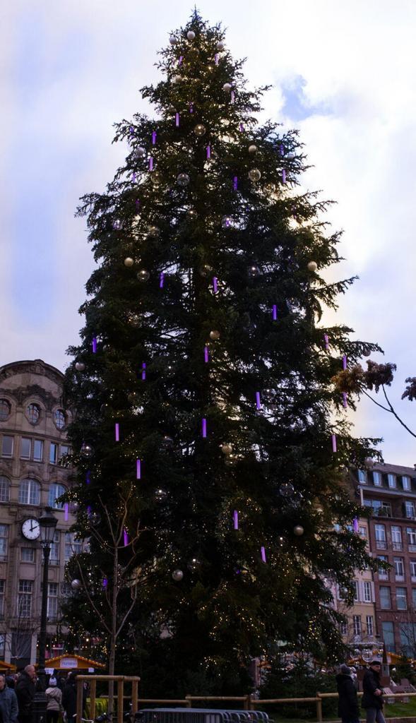Strasbourg Christmas Tree @PJAdams10