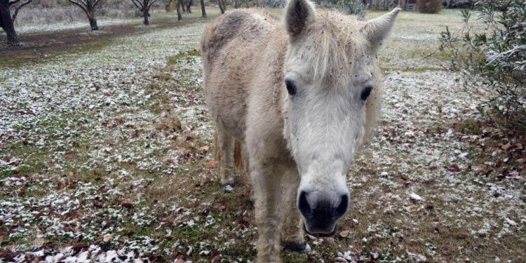January events in #Provence #ExploreProvence @CuriousProvence