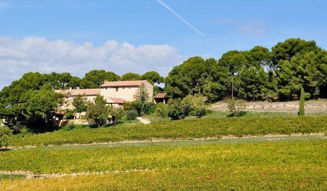 Wine tasting an lunch in Carpentras #OurHouseinProvence