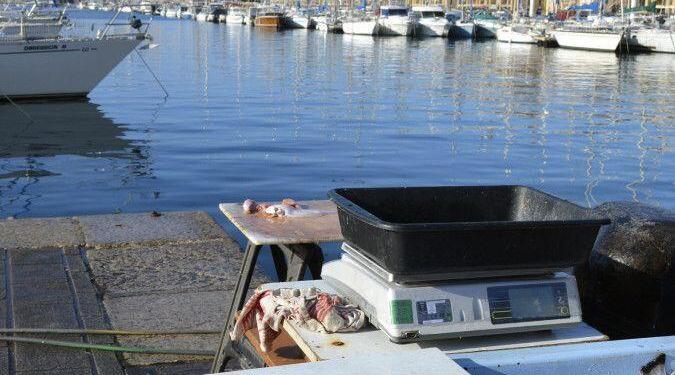 Marseille Vieux Port #Marseille @CuriousProvence