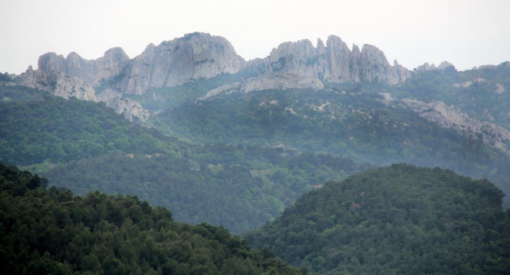 Dentelles de Montmirail #Vaucluse @PerfProvence