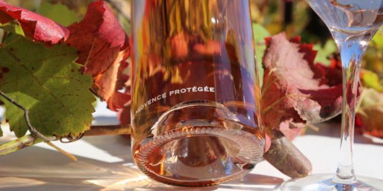 Mirabeau Pure Punt @MirabeauWine #WinesofProvence