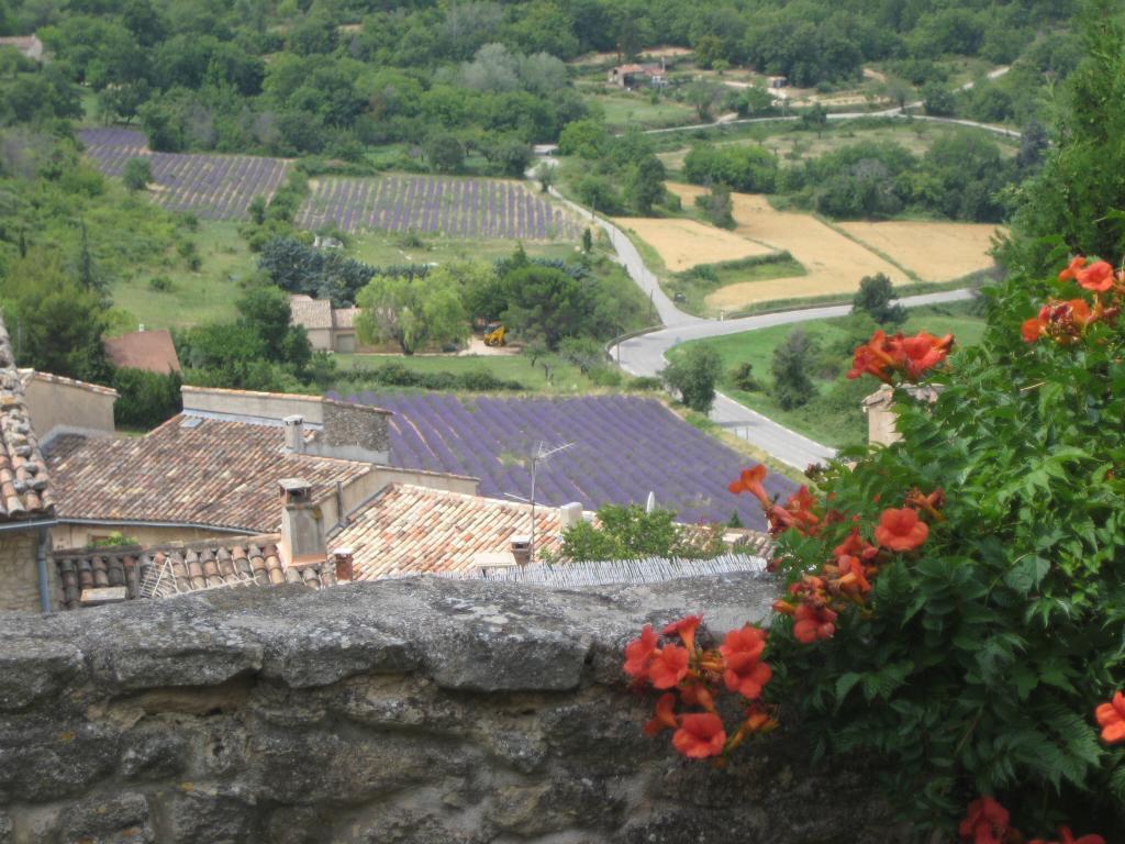 Saignon at lavender time @JaneDunning