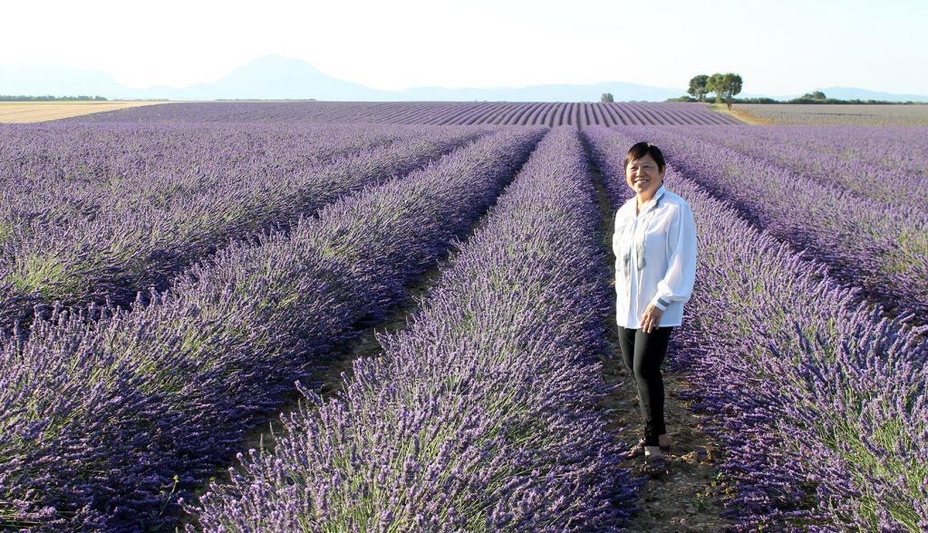Gorges du Verdon lavender tour #MoustiersStMarie @GetawayProvence