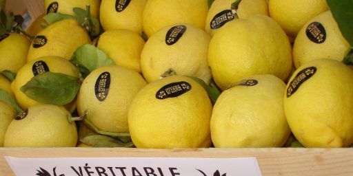 Citrons de Menton Citrus Festival #Menton @AccessRiviera