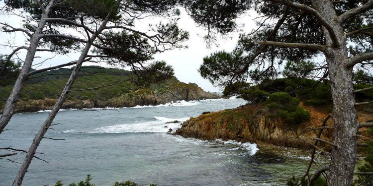 Poquerolles #Poquerolles Cote d'Azur @PerfProvence