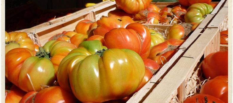 Tomatoes Provence Market Produce @TableEnProvence