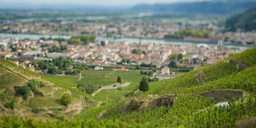 Visit French Wine #WinesofProvence @JillBarth