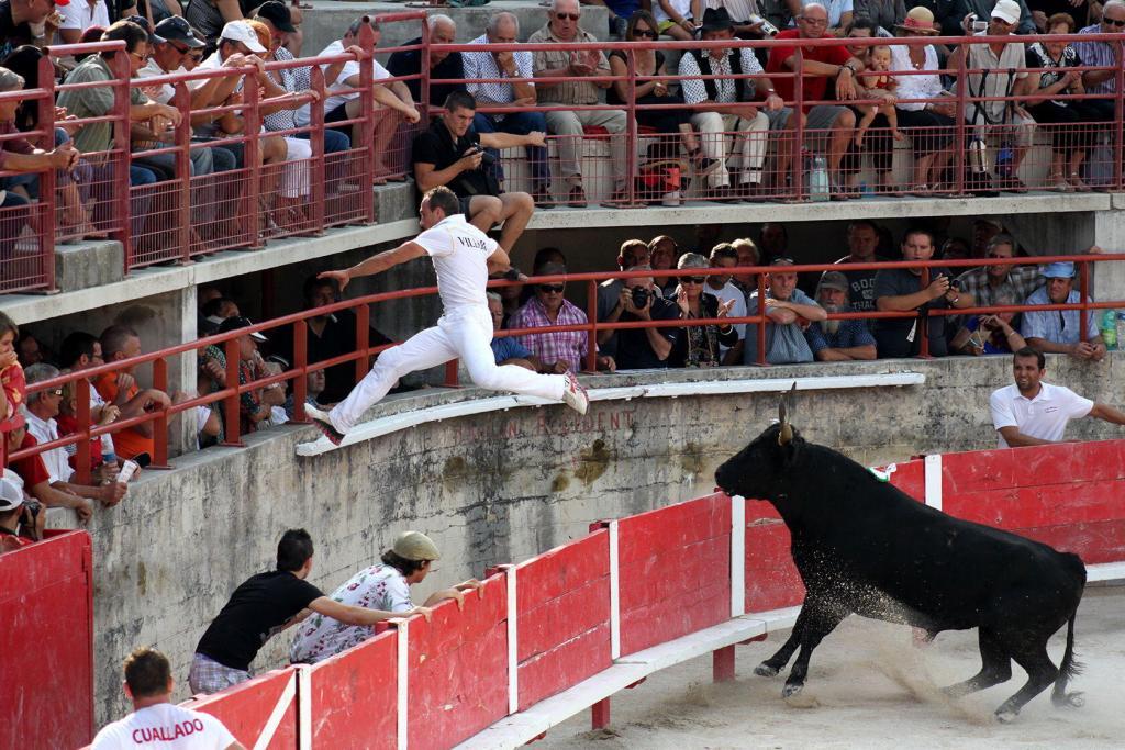 Cours Camargaise Cowboys Provence @perfProvence