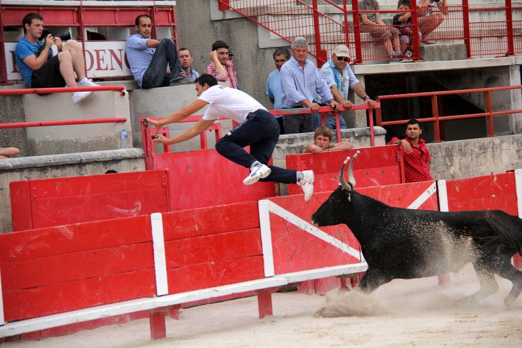 Cours Camargaise Cowboys #Provence #ExploreProvence @PerfProvence