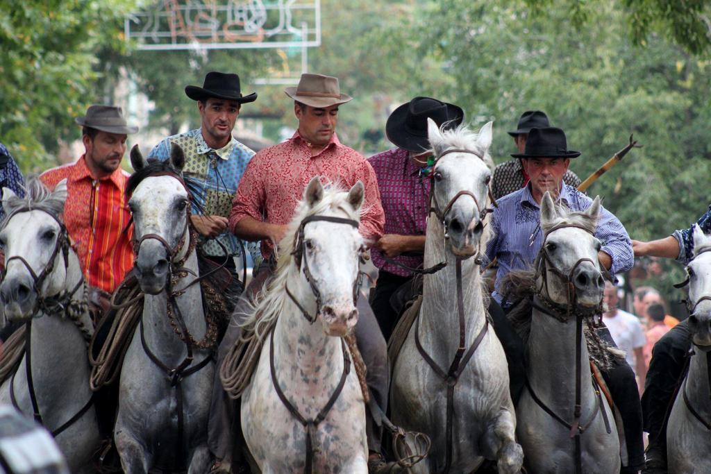 Fete du village Horses #Provence #ExploreProvence @PerfProvence