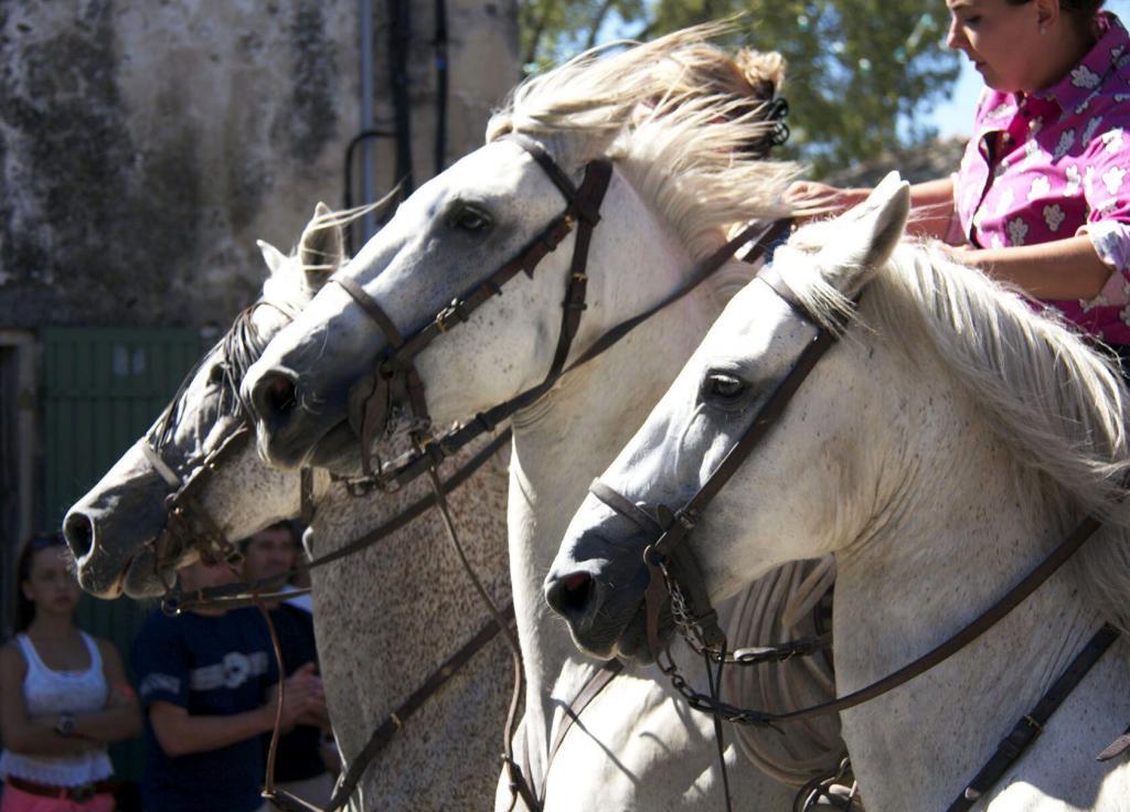 Fete du village Horses #Provence #ExploreProvence @PerfProvence