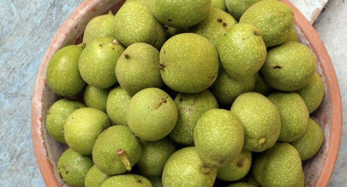 Green Walnuts for wine #TastesofProvence @CuriousProvence