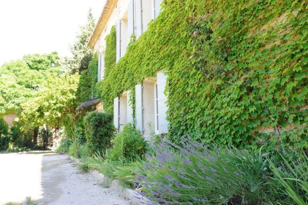 Ferme du Val lavender and vine on house