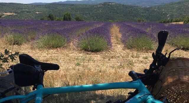 Cycling in Provence @VaucluseDreamer