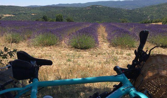 Cycling in Provence @VaucluseDreamer