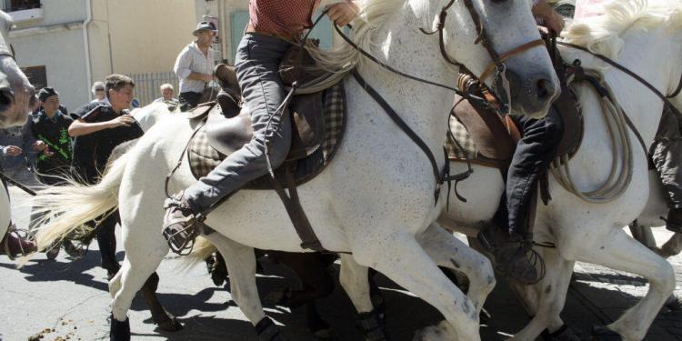 Abrivado Bandido #ExploreProvence @CuriousProvence