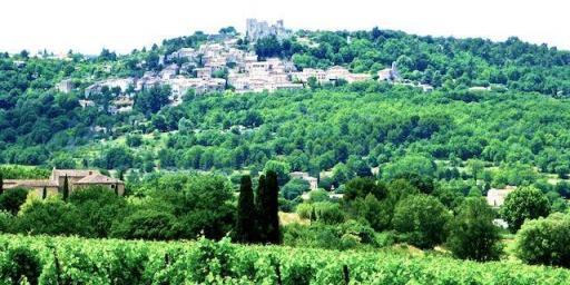 Lacoste across the vineyards @ShutrsSunflowrs