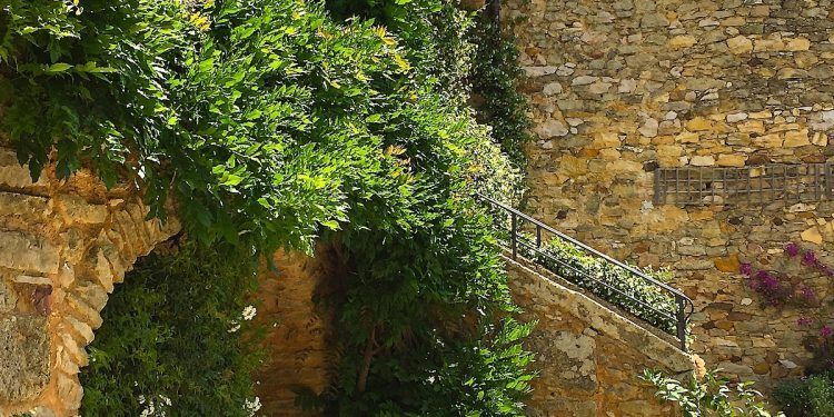 Mas d’Augustine #Uzes @bfblogger2015