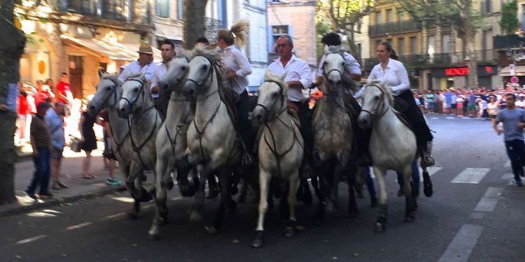 Abrivado in Uzes Fete Votive @bfblogger2015