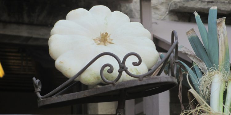 autumn in provence @cobblestonesandvineyards #exploreprovence