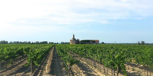Sable de Camargue winery Wines Provence @bfblogger2015