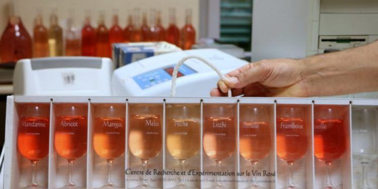 Rose Research Centre #WinesofProvence @mirabeauwine