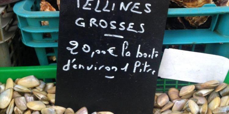 Tellines a la Persillade @CuriousProvence