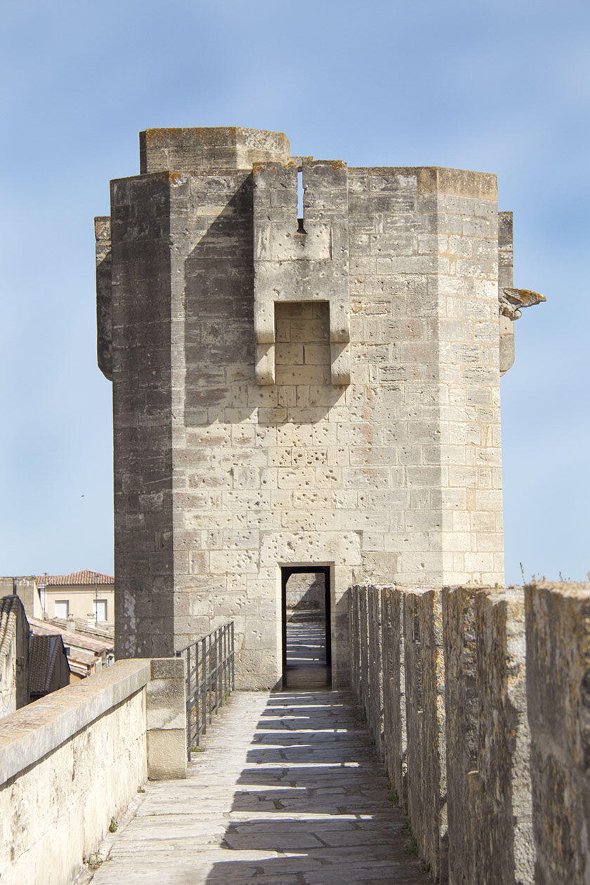 Aigues Mortes Bouches du Rhone Camargue