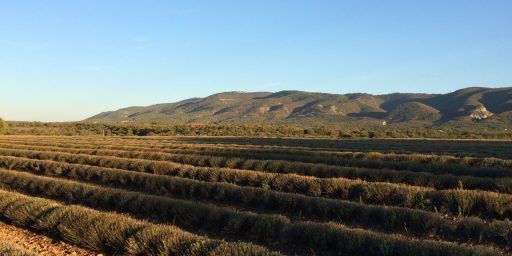 Autumn in Provence @vauclusedreamer #ExploreProvence