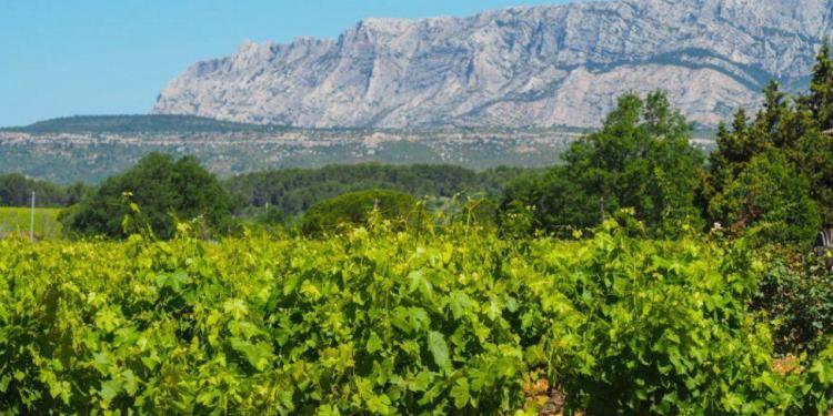 Mont Saint Victoire @Susan_PWZ #WinesofProvence