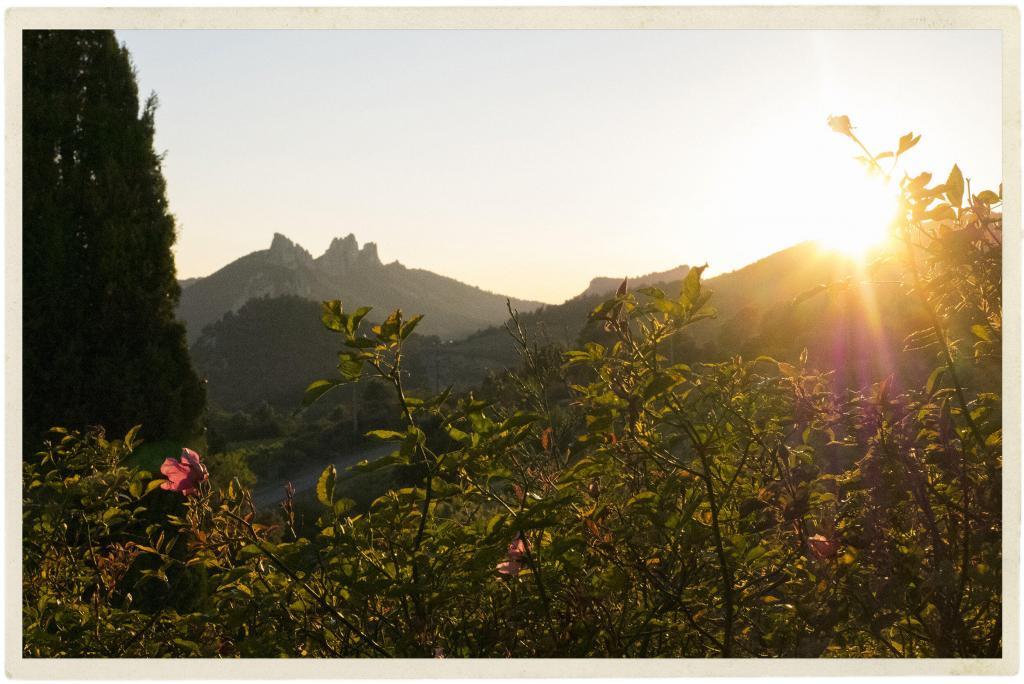 Dentelles sunset @TableenProvence