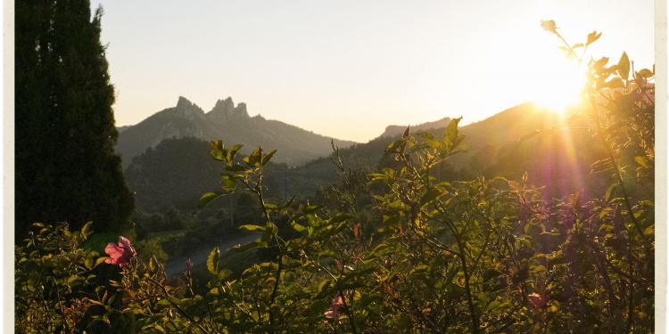 Dentelles sunset @TableenProvence