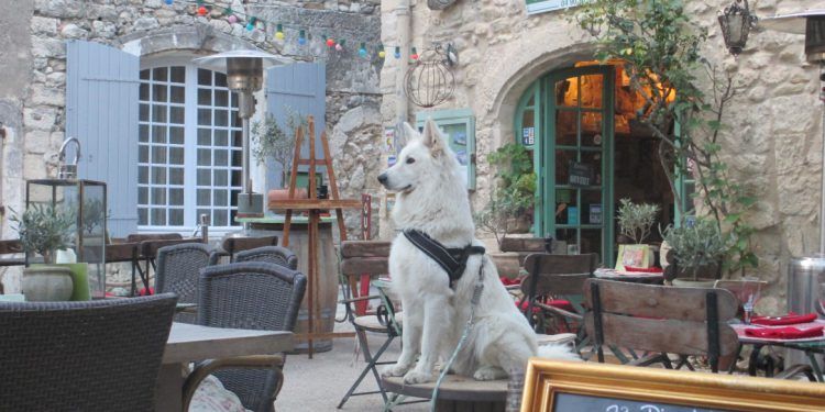 le petit cafe retaurant in Oppede-le-Vieux @cobblestoneandvineyards
