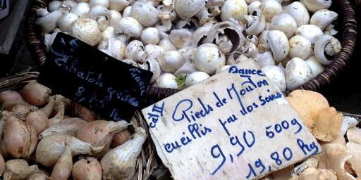 Wild mushrooms Tastes of Provence @PerfProvence