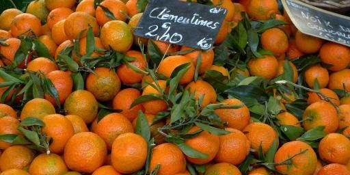 Christmas Citrus in Provence